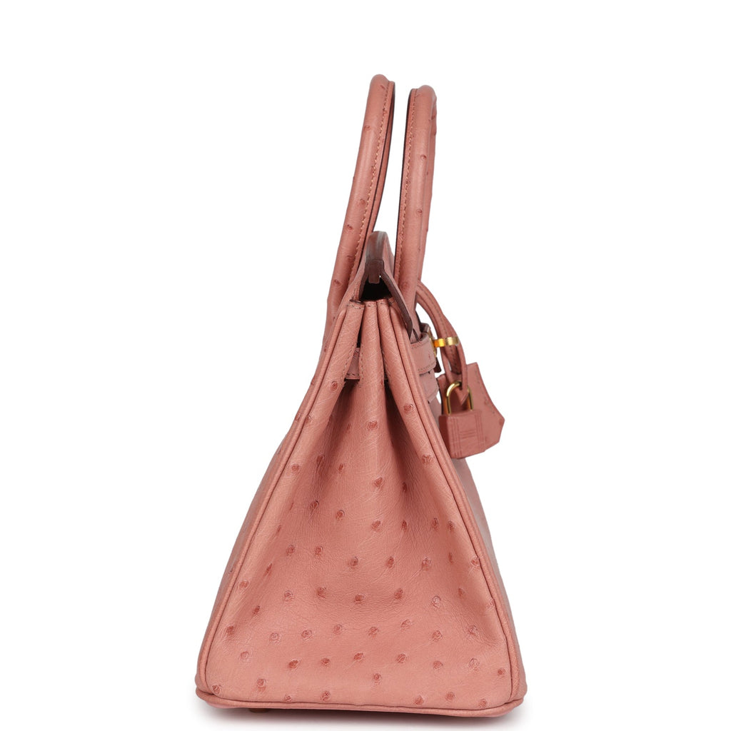 Hermes Birkin 25 Terre Cuite Ostrich Gold Hardware