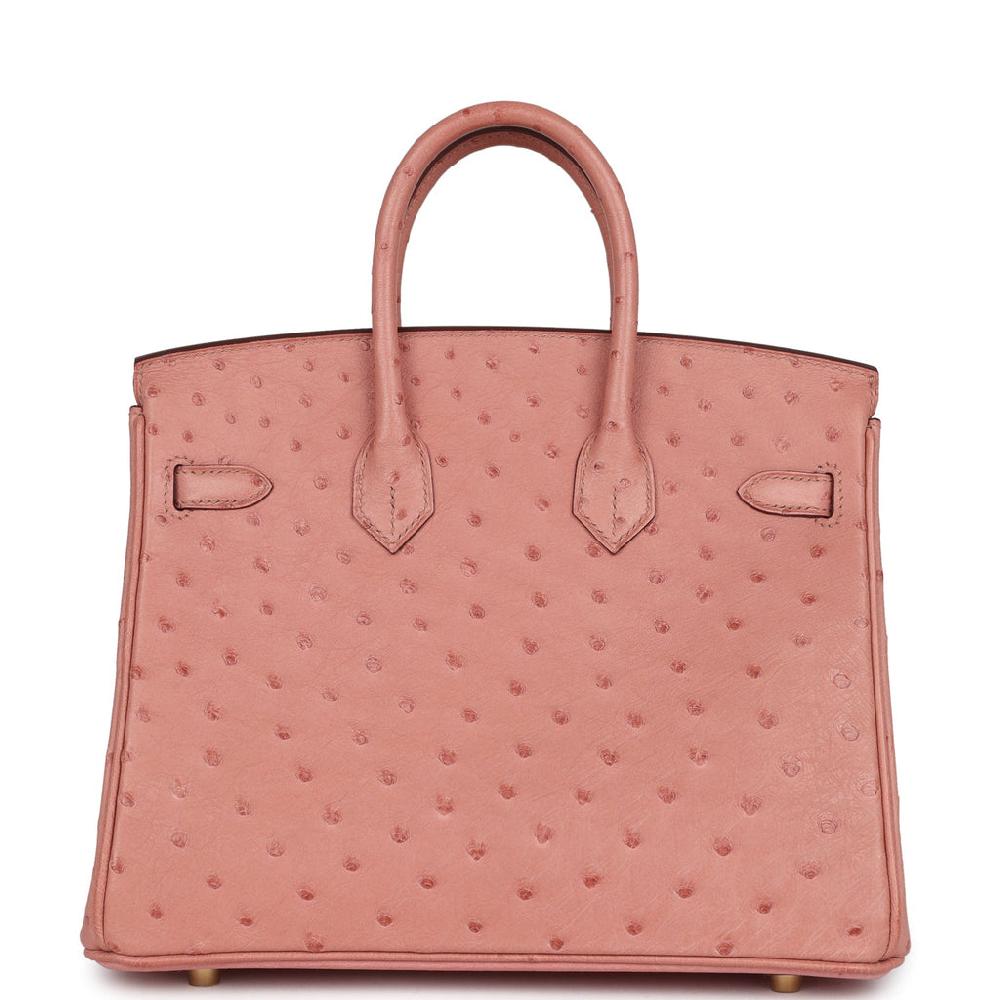 Hermes Birkin 25 Terre Cuite Ostrich Gold Hardware