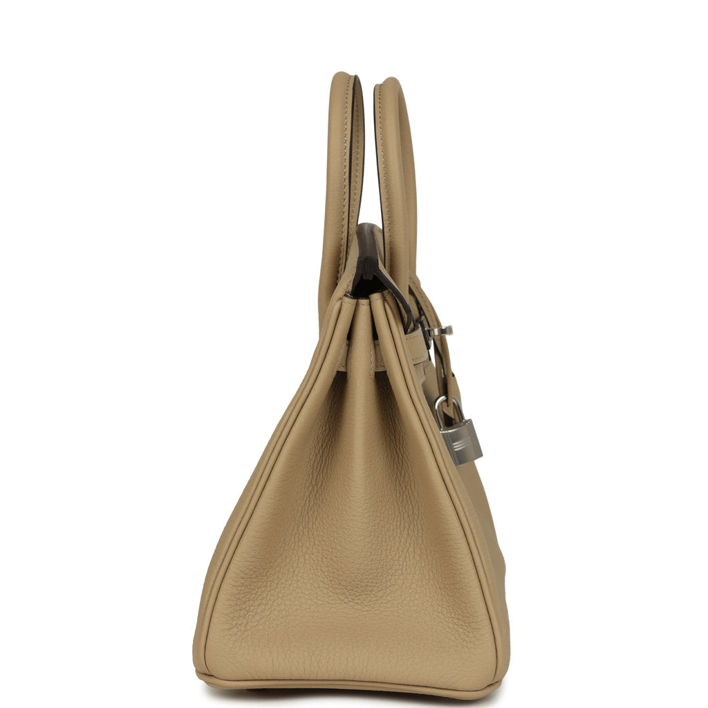 Hermes Birkin 25 Trench Togo Palladium Hardware