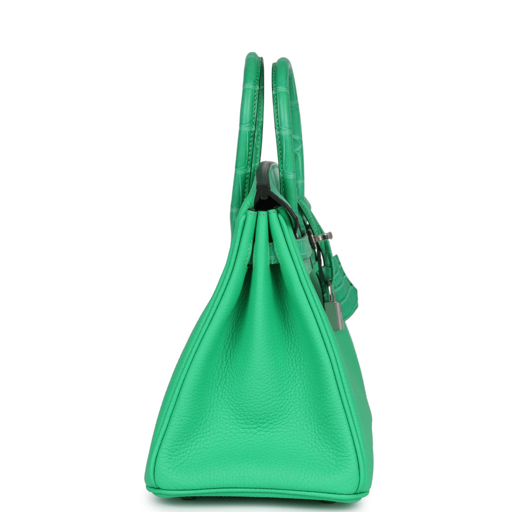 Hermes Birkin 25 Vert Comics Togo And Matte Alligator Touch Palladium Hardware