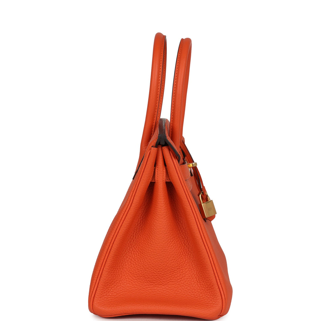 Hermes Birkin 30 Feu Togo Gold Hardware