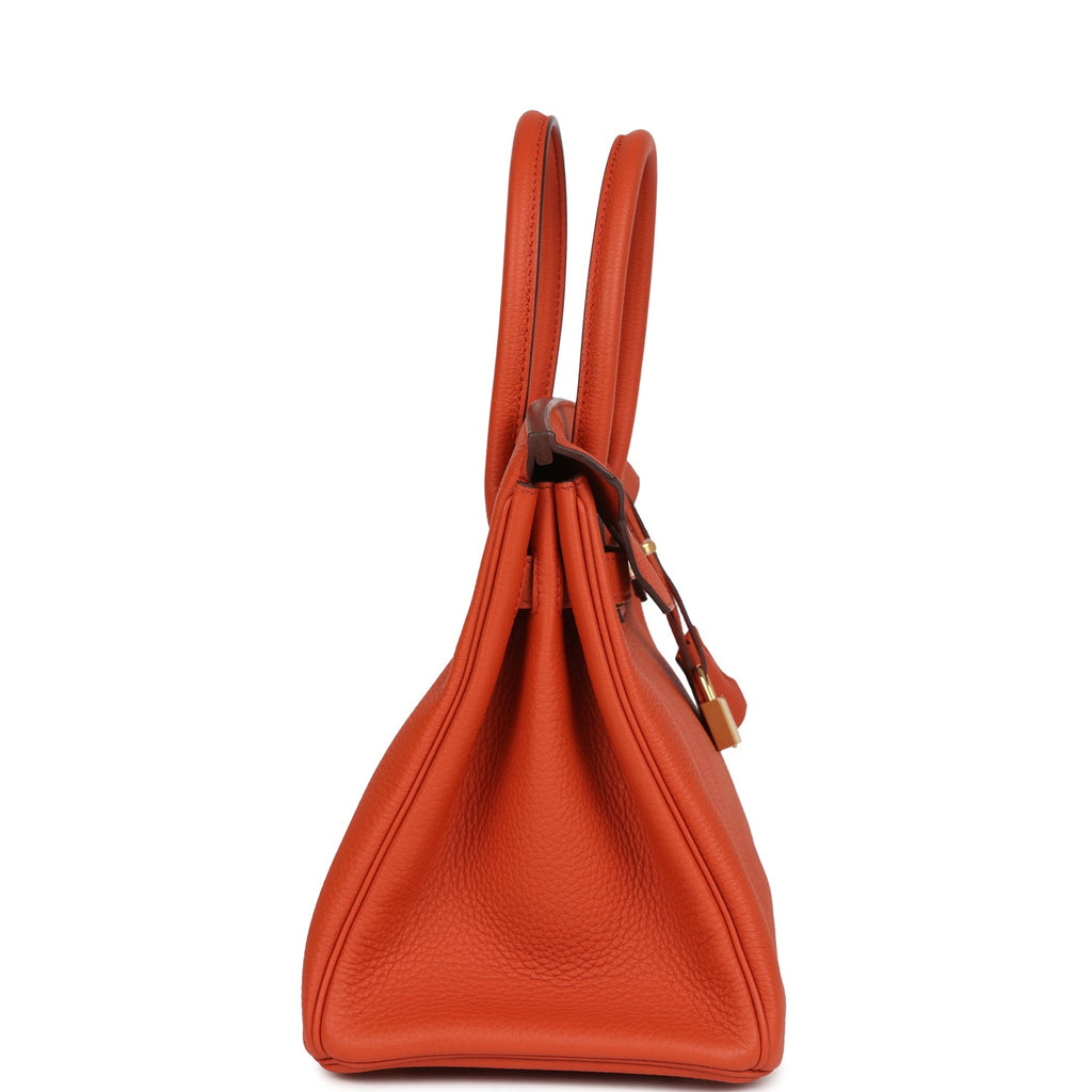 Hermes Birkin 30 Terre Battue Togo Gold Hardware