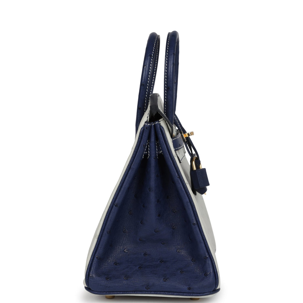 Hermes Special Order (HSS) Birkin 25 Gris Perle And Bleu Iris Ostrich Permabrass Hardware