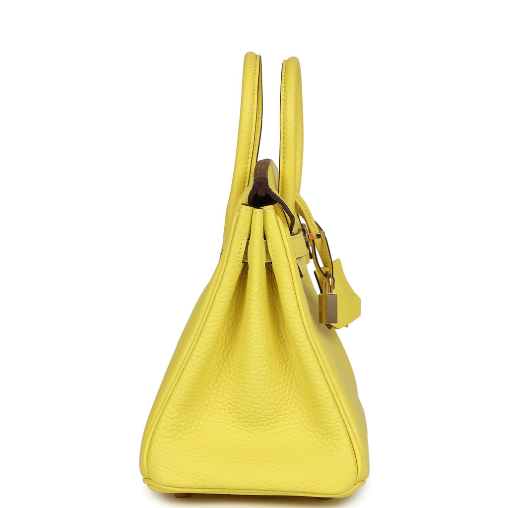 Hermes Special Order (HSS) Birkin 25 Lime Verso Clemence Permabrass Hardware