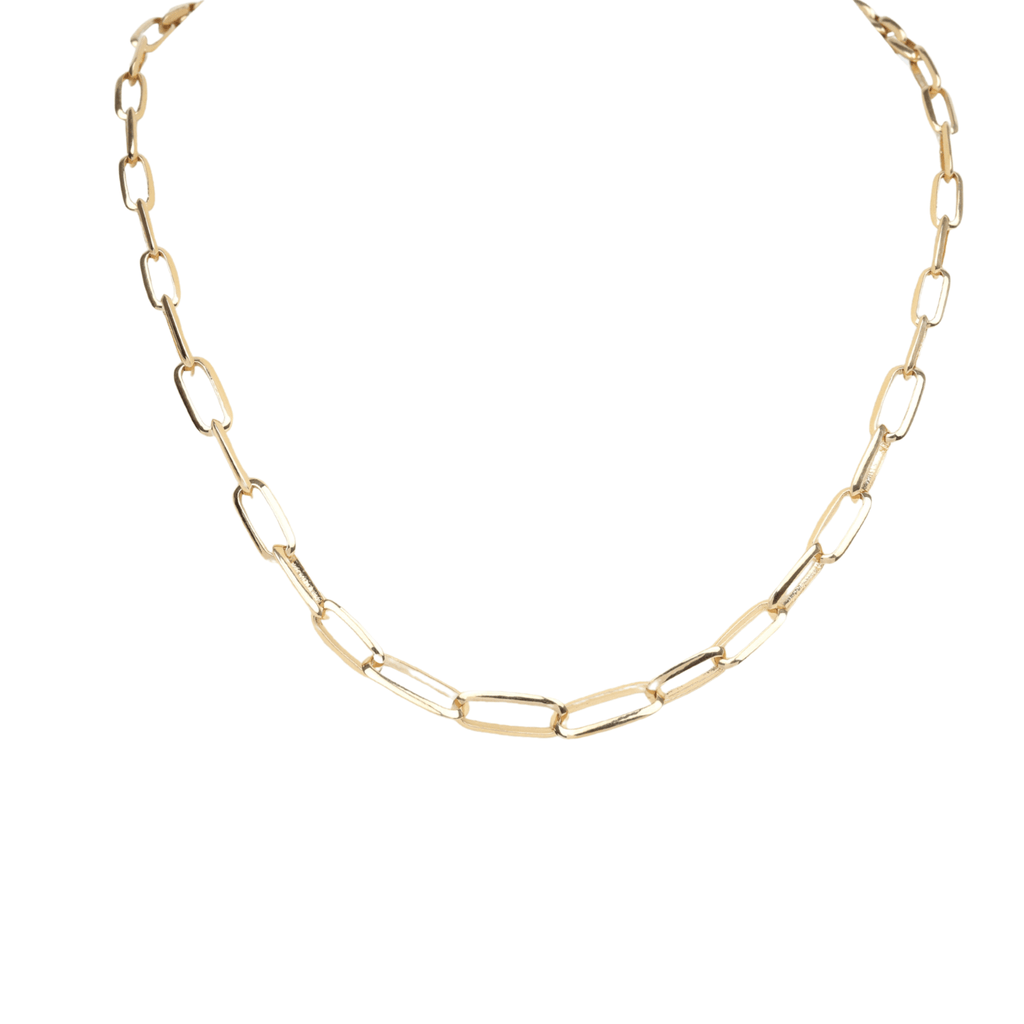 Lizzie Mandler Graduated Knife Edge Oval Link Chain Necklace