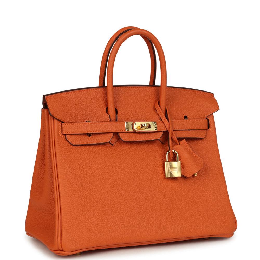 Pre-owned Hermes Birkin 25 Orange Togo Gold Hardware