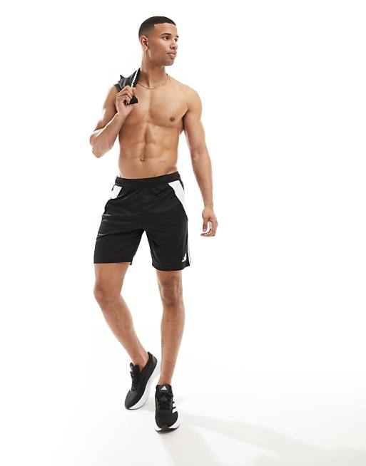 Adidas Football Tiro 24 Shorts In Black