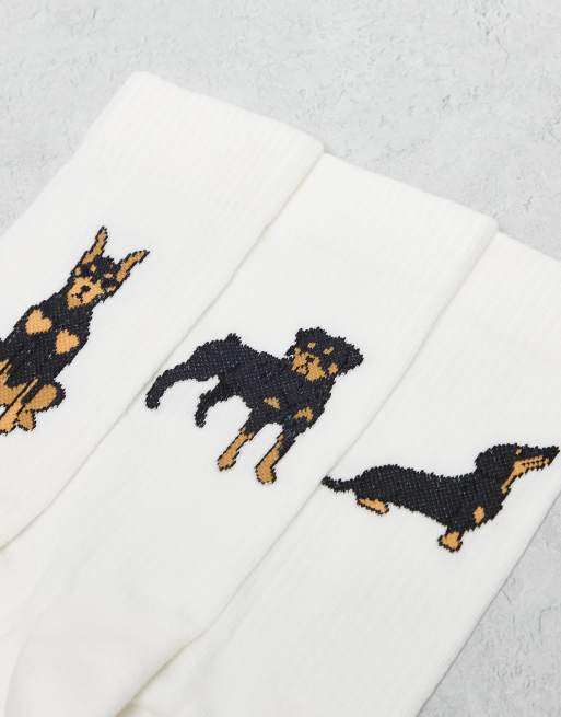 ASOS DESIGN 3 Pack Socks With Dog Graphic In White