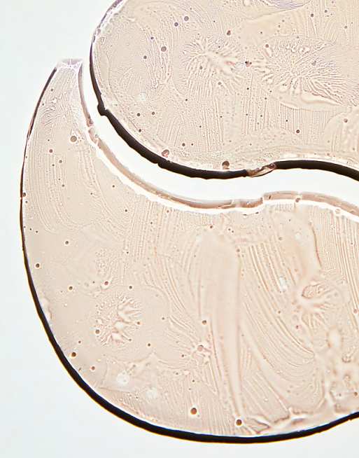 Patchology Serve Chilled Bubbly Eye Gel Patches
