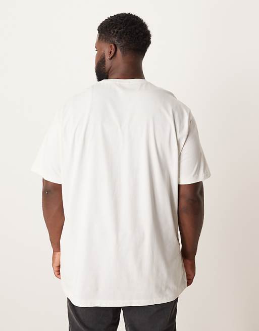 Polo Ralph Lauren Big & Tall Heritage Cap Bear Print T-shirt In White