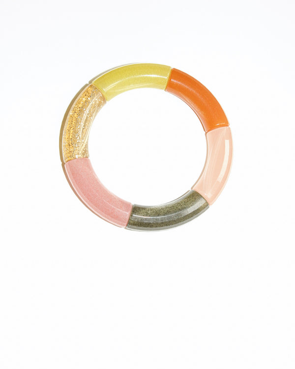 kyoto tango GINZA SALMON edition IKERU