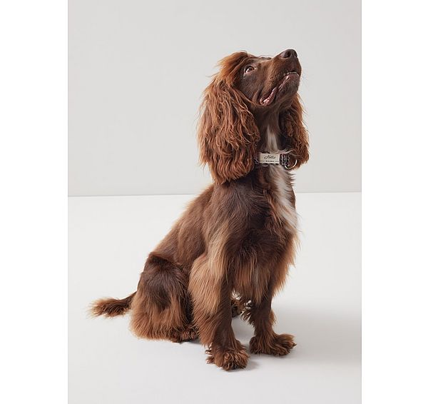 l.k. bennett Darcy Houndstooth Check Wool-Blend Dog Collar