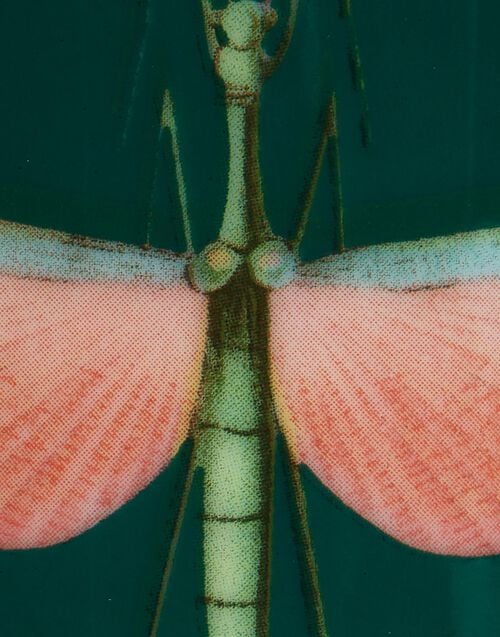 La Doublej Decorative Cup Libellula Green In Porcelain