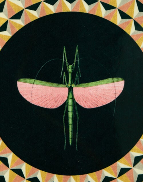 La Doublej Disk Placemats Set Of 2 Libellula Dark Mustard In Cork