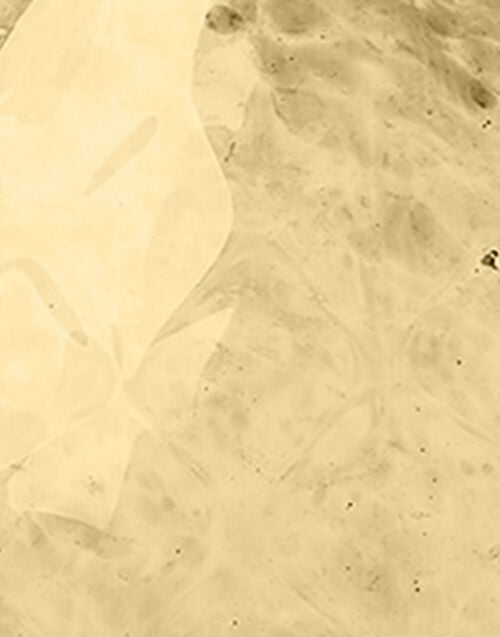 La Doublej Big Egg Vase Gold In Murano Glass