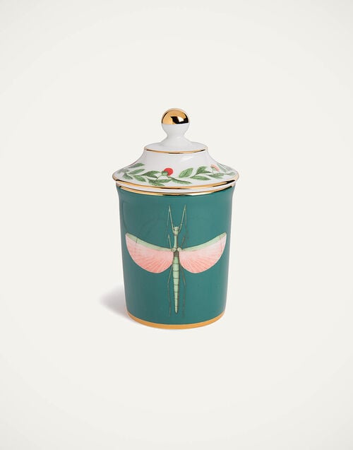 la doublej Lidded Mug Libellula