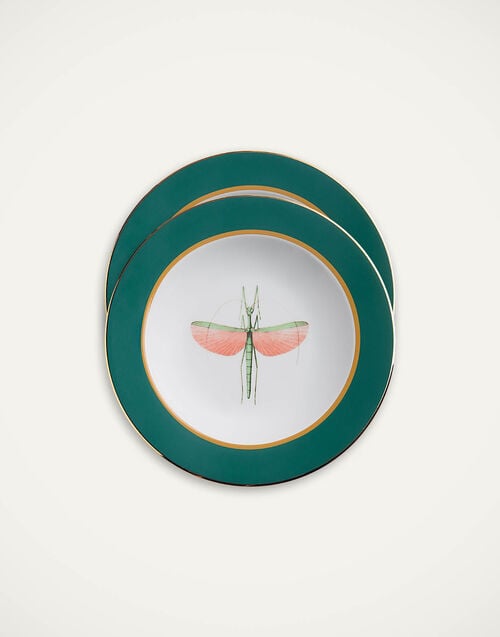 la doublej Soup Plates Set Of 2 Libellula in Porcelain