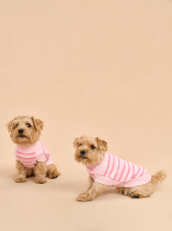 La Ligne Chien Sweater