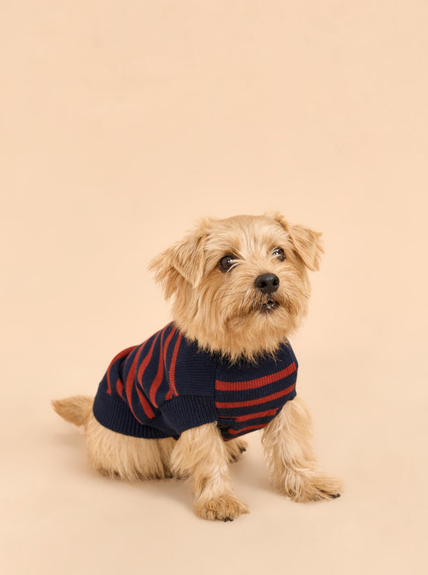 La Ligne Chien Sweater