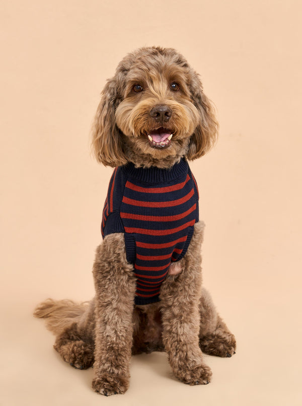 la ligne Chien Sweater
