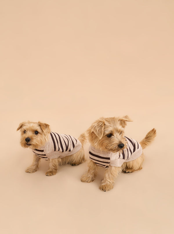 la ligne Chien Sweater