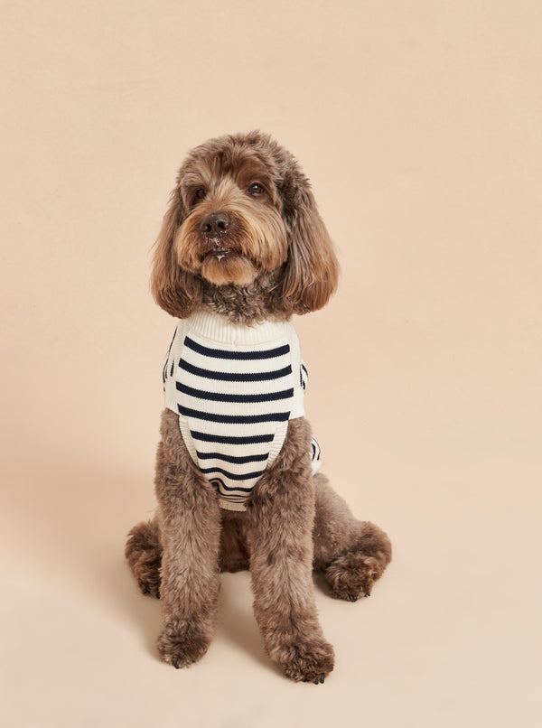 la ligne Chien Sweater