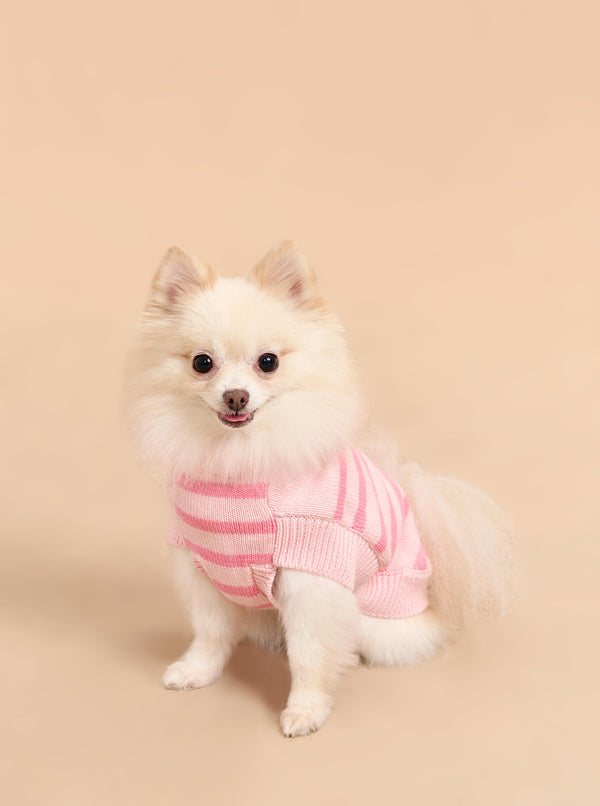 la ligne Chien Sweater