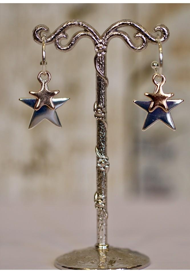 la muse Hoop and star earrings