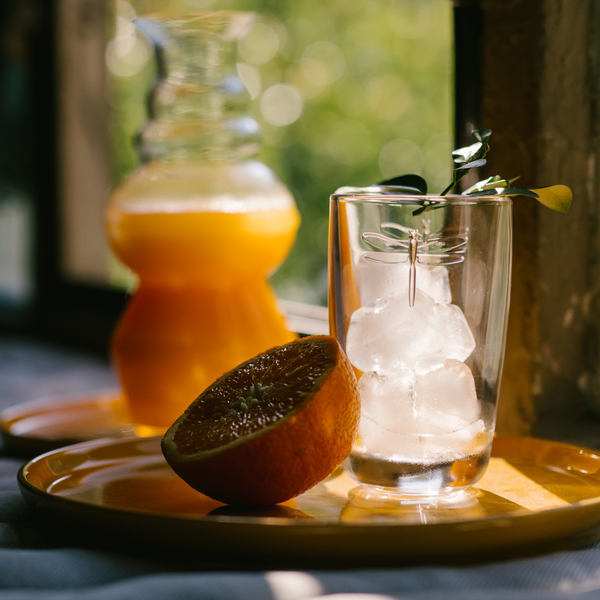 La Rochère Dragonfly Juice Glass Set-6