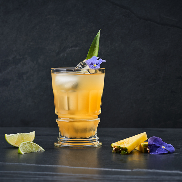 La Rochère Perigord Club Cocktail Glass Set-4