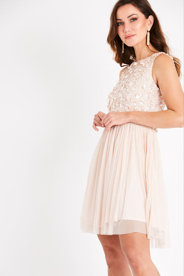 Lace & Beads Hazel Blush Embellished Skater In Nude