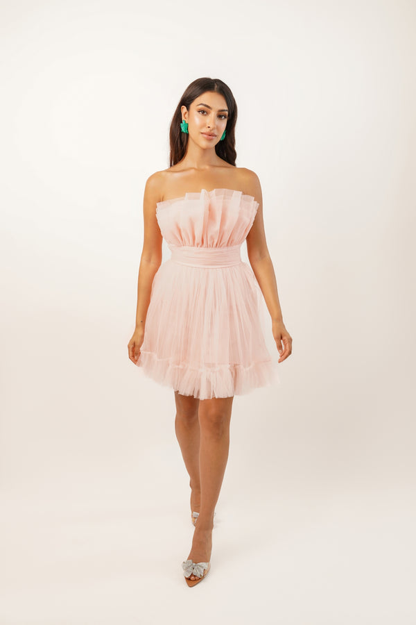 Lace & Beads Nanita Tulle Mini Dress In Blush Pink
