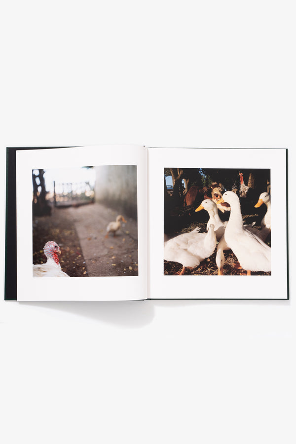 Lady White Co. ALESSANDRA SANGUINETTI - ON THE SIXTH DAY