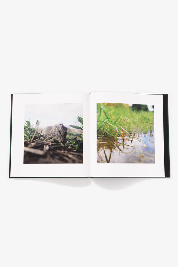 Lady White Co. ALESSANDRA SANGUINETTI - ON THE SIXTH DAY