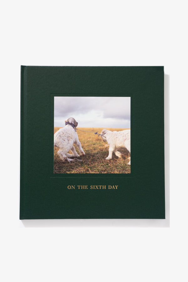 lady white co. ALESSANDRA SANGUINETTI - ON THE SIXTH DAY