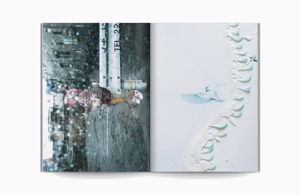 Lady White Co. KENTA NAKAMURA - GINGA WO UMERU (RELEASE INTO THE GALAXY)