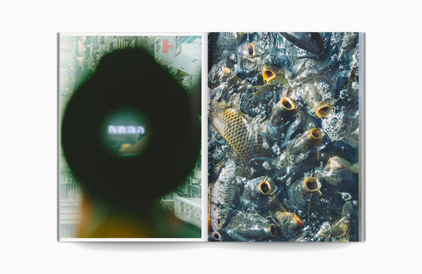 Lady White Co. KENTA NAKAMURA - GINGA WO UMERU (RELEASE INTO THE GALAXY)