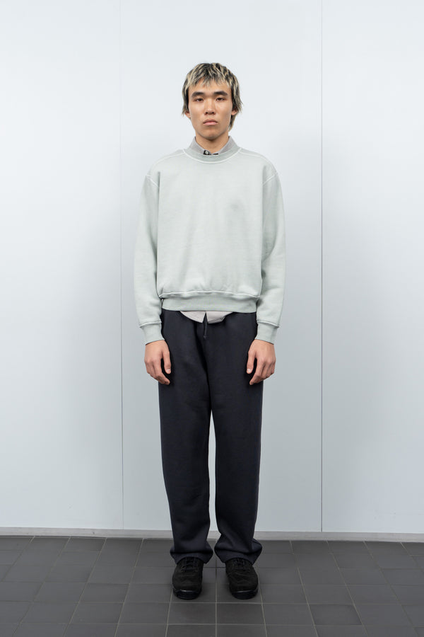 Lady White Co. MINI CREWNECK - PIGMENT MINERAL