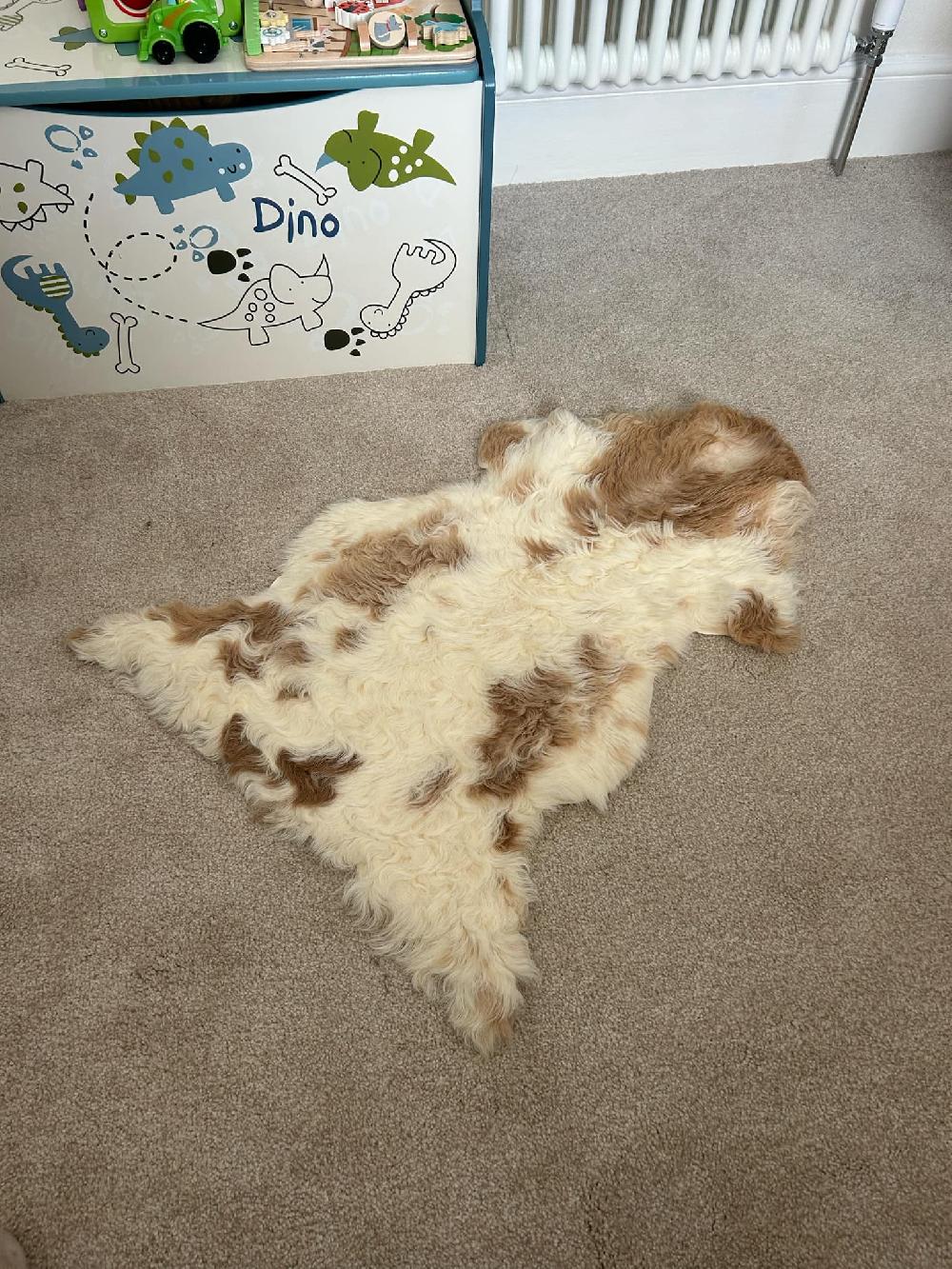 Lambland Luxurious Tigrado Sheepskins