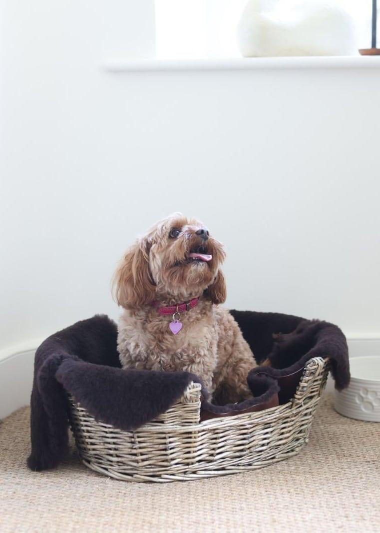 Lambland Sheepskin Pet Rugs