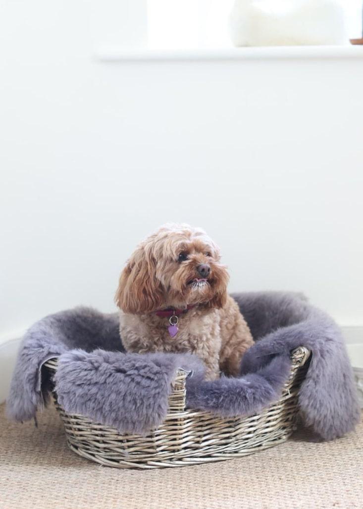 lambland Sheepskin Pet Rugs