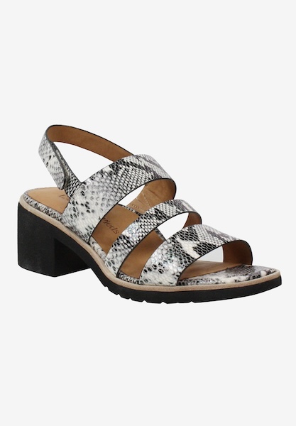 l'amour des pieds CLEARANCE STYLES Quennell Black White Black Snake Print