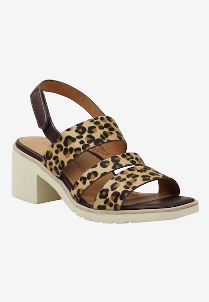 l'amour des pieds CLEARANCE STYLES Quennell Brown Black Leopard Print Hair On