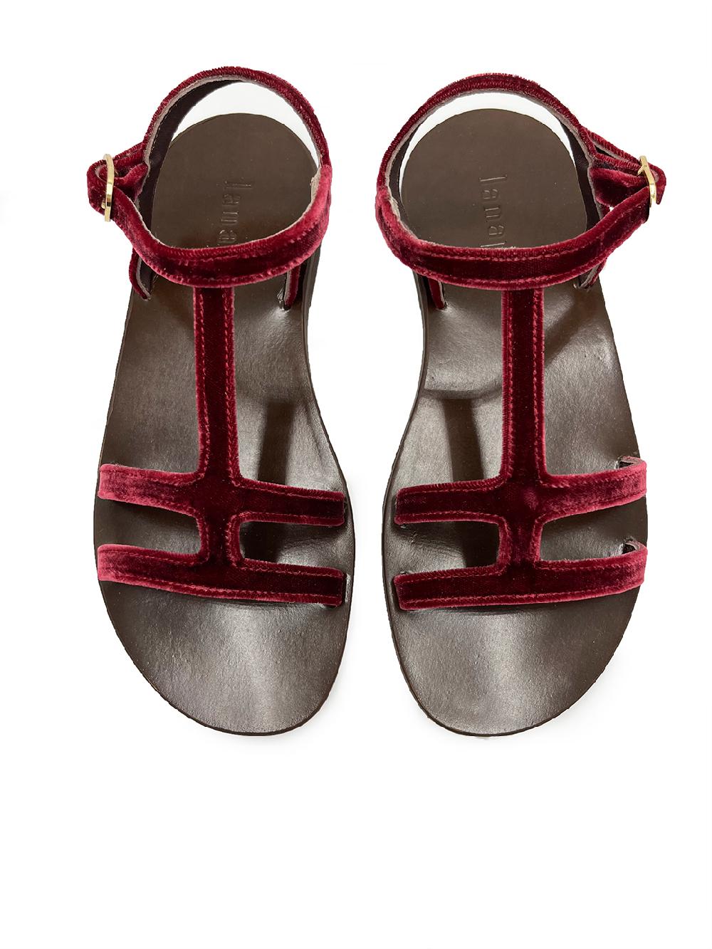 Lanapo Recco Velvet Anemone