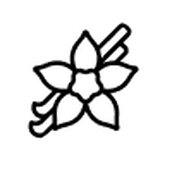 lancôme La vie est belle Vanille Nude Eau de Parfum