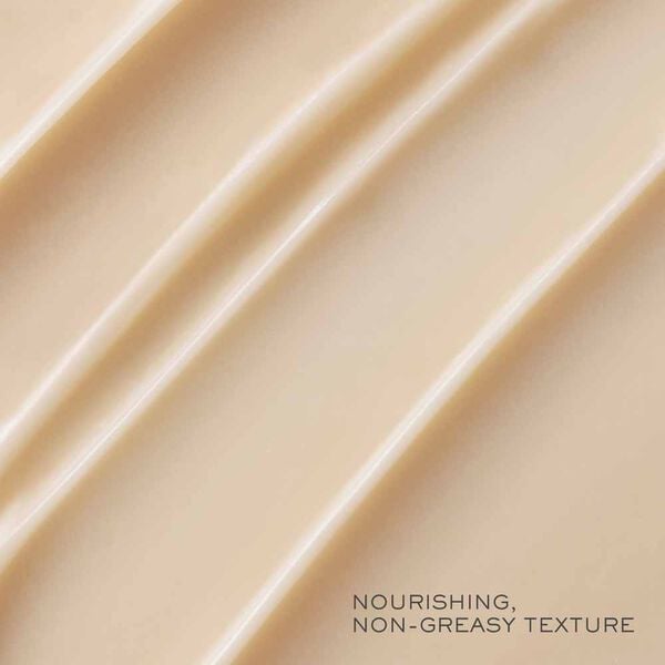 Lancôme Absolue Premium βx Night Cream