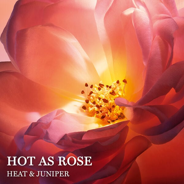 Lancôme Hot As Rose