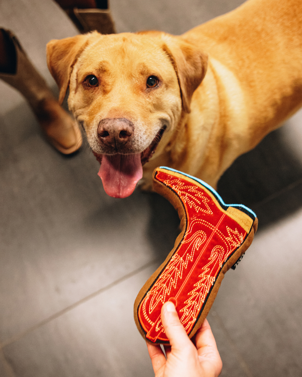 Lane Boots Lexington Dog Toy