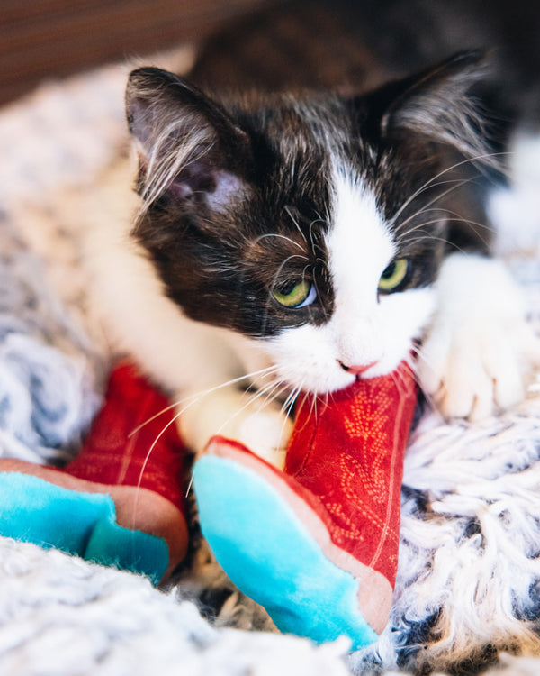 Lane Boots Meowdy Partner - Boot Cat Toy With Catnip