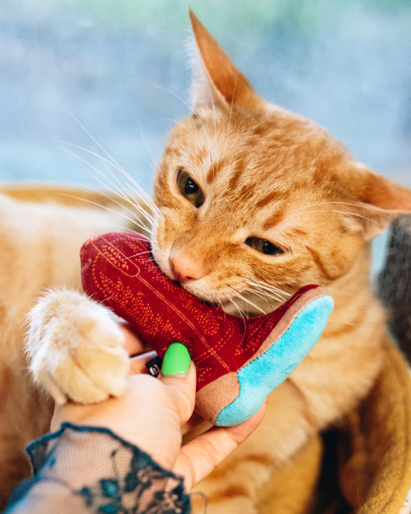 Lane Boots Meowdy Partner - Boot Cat Toy With Catnip